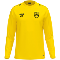 TSG Hainewalde Sweat One