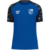 ATSV Gebirge/Gelobtland e.V. T-Shirt Sonic