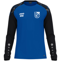 ATSV Gebirge/Gelobtland e.V. Longsleeve Sonic