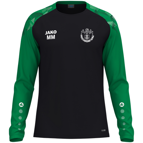 TSV Hochdorf / Enz Longsleeve Sonic