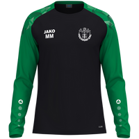 TSV Hochdorf / Enz Longsleeve Sonic