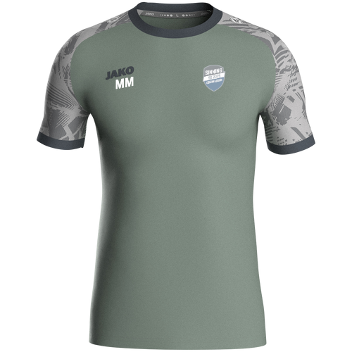 SG Oberhausen / Sinning Trikot Iconic KA