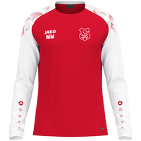 VfL Woltorf 07 Longsleeve Sonic