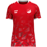 JFV Weimar/Lahn Trikot Sonic KA