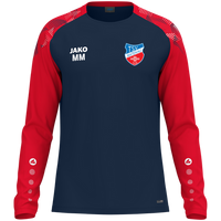 TSV Ratekau Longsleeve Sonic