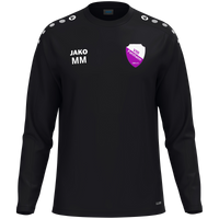 VfR Fehlheim Sweat One