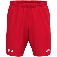 SV DJK Eggolsheim e.V. Webshort One