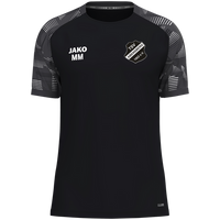 TSV Abensberg T-Shirt Sonic