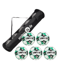Ballset DERBYSTAR Spielball - 3. Liga BRILLANT APS v26 inkl. Ballsack