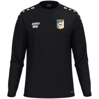 BSV Neuburg Sweat One