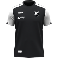 SV Weichering T-Shirt Dynamic