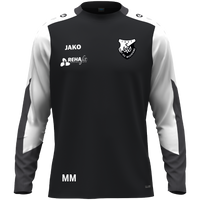 SV Weichering Longsleeve Dynamic