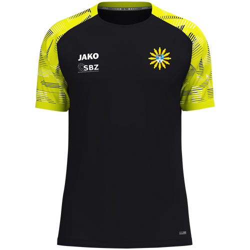 PSV Glauchau T-Shirt Sonic