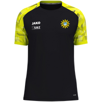 PSV Glauchau T-Shirt Sonic