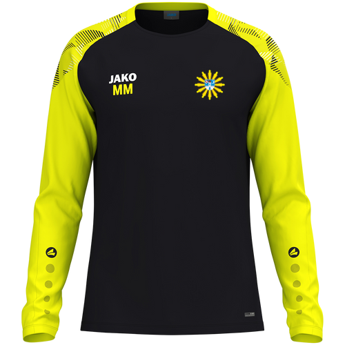 PSV Glauchau Longsleeve Sonic