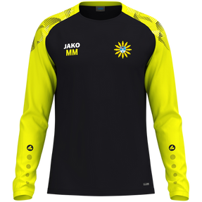 PSV Glauchau Longsleeve Sonic
