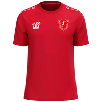 VfR Wansleben T-Shirt One Cotton