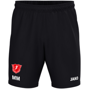 VfR Wansleben Trainingsshort One