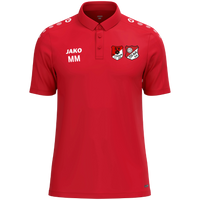 SG AUB/Gelchsheim Polo One