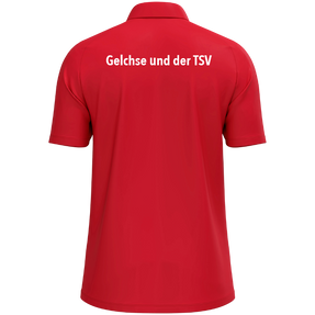 SG AUB/Gelchsheim Polo One