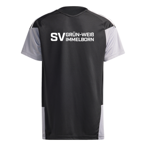 SV Grün-Weiß Immelborn Tiro 26 Competition Trainingstrikot