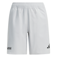 SV Grün-Weiß Immelborn Tiro Travel Woven Shorts
