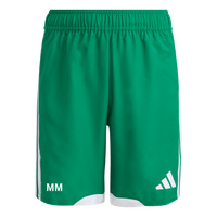 SV Grün-Weiß Immelborn Tiro 26 Competition Match Day Shorts