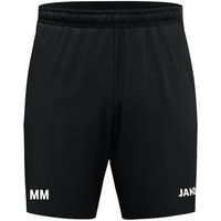 RuWa Dellwig Trainingsshort Dynamic