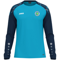 JSC Heidelberg Rhein-Neckar Longsleeve Sonic