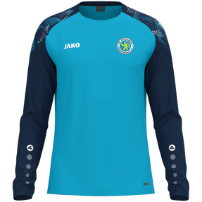 JSC Heidelberg Rhein-Neckar Longsleeve Sonic