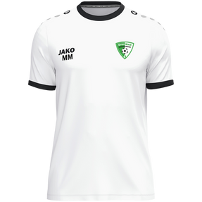 SV Grün-Weiß Niederwiesa Trikot One KA