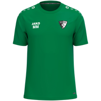 SV Grün-Weiß Niederwiesa T-Shirt One