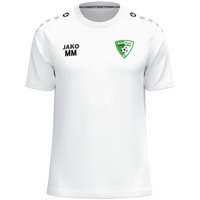 SV Grün-Weiß Niederwiesa T-Shirt One Cotton