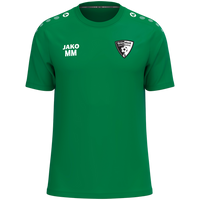 SV Grün-Weiß Niederwiesa T-Shirt One Cotton