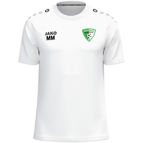 SV Grün-Weiß Niederwiesa T-Shirt One Cotton