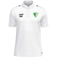 SV Grün-Weiß Niederwiesa Polo One