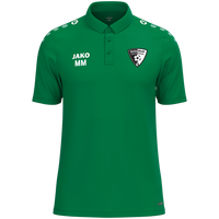 SV Grün-Weiß Niederwiesa Polo One