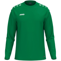 SV Grün-Weiß Niederwiesa Sweat One