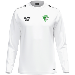 SV Grün-Weiß Niederwiesa Sweat One