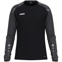 FSV Gundhelm Longsleeve Sonic