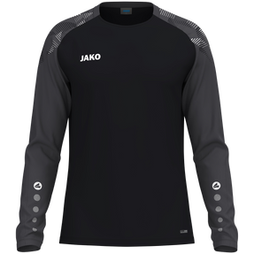 FSV Gundhelm Longsleeve Sonic