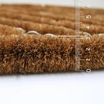 560-Coco-Brush-standard-02.jpg