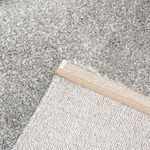 C-004-Samoa-Uni-Silber-04.jpg