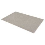 C-004-Samoa-Uni-Silber-01.jpg