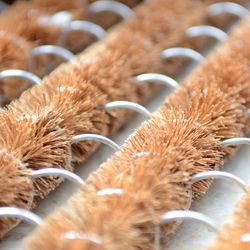 561-Coco-Brush-Orginal-00.jpg 561-Coco-Brush-Orginal-00.jpg