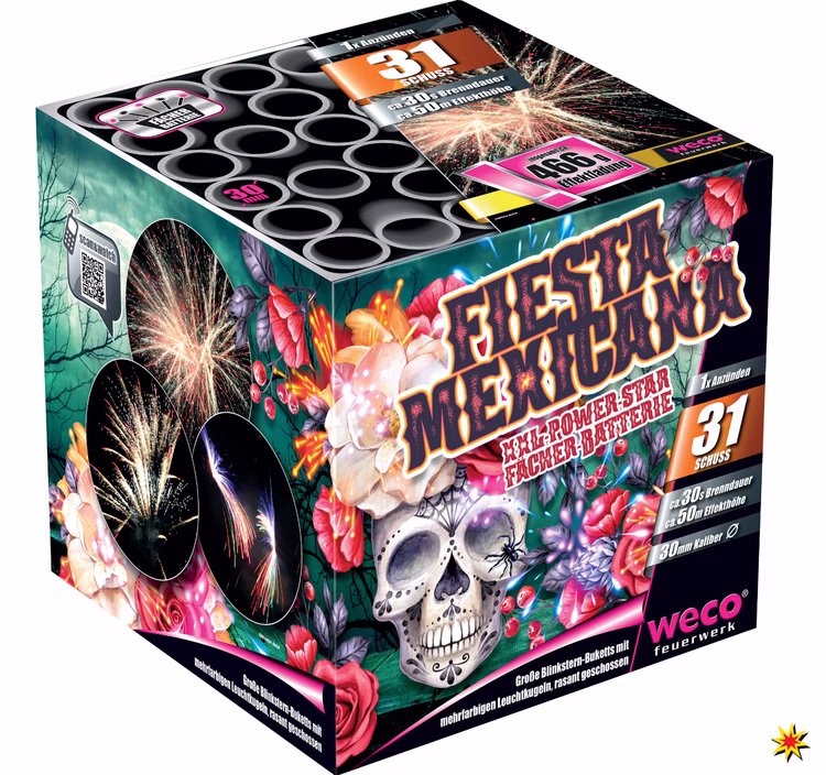 Feuerwerk Batterie 31 Schuss Für Silvester und andere Anlässe Feuerwerk Batterie 31 Schuss Für Silvester und andere Anlässe