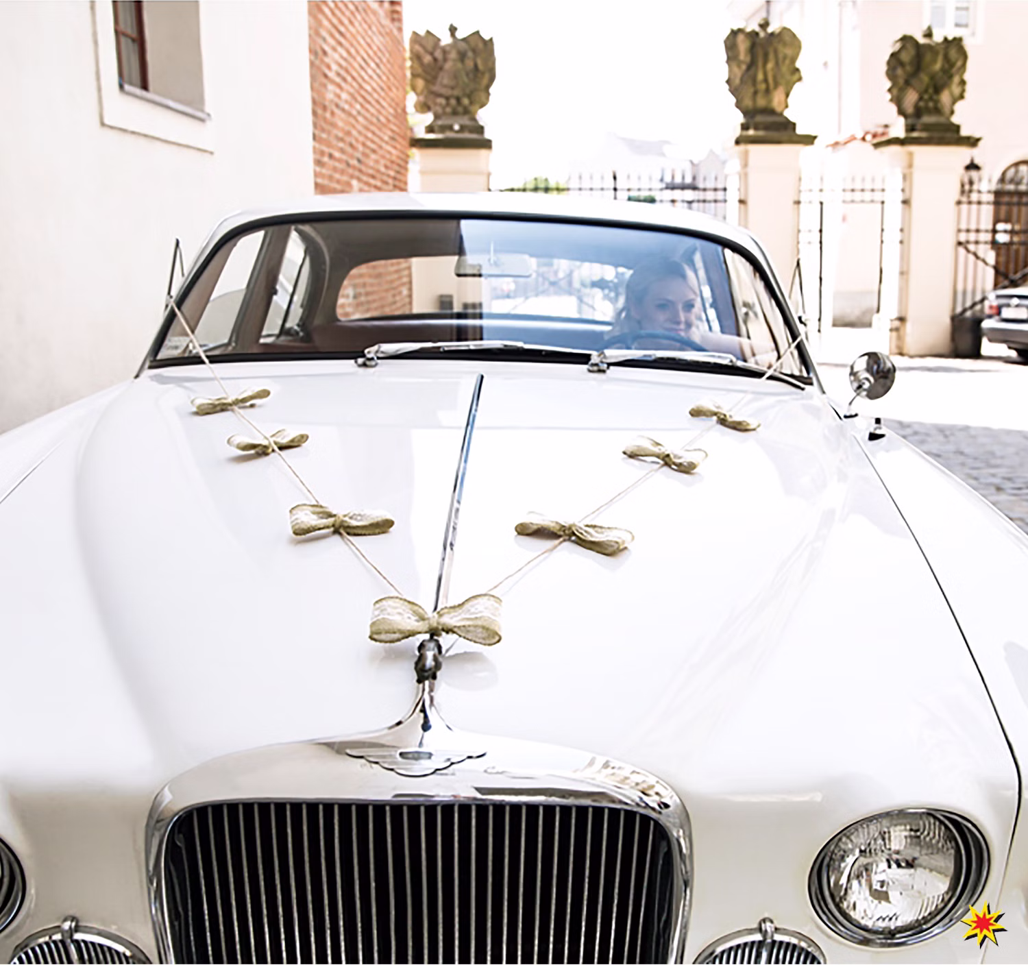 Autoschleifen Hochzeit Set Motorhaube Dosen braun weiß gold Brautauto Wedding Car Autoschmuck
