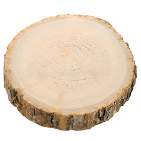 Holzscheibe Baumscheibe Deko Hochzeit 1 Stück 17 cm Tisch-Deko Geburtstag Basteln DIY Winter Weihnachtszeit Tischdekoration Holzscheibe Baumscheibe Deko Hochzeit 1 Stück 17 cm Tisch-Deko Geburtstag Basteln DIY Winter Weihnachtszeit Tischdekoration