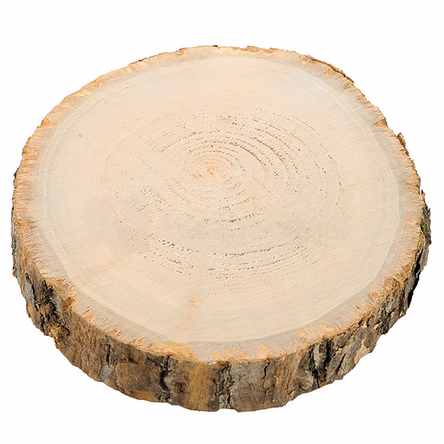 Holzscheibe Baumscheiben-Set Deko Hochzeit 8 Stück 17 cm Tisch-Deko DIY Basteln Geburtstag Advent Jahreszeiten Ostern Holzscheibe Holzstamm Dekoration Holzscheibe Baumscheiben-Set Deko Hochzeit 8 Stück 17 cm Tisch-Deko DIY Basteln Geburtstag Advent Jahreszeiten Ostern Holzscheibe Holzstamm Dekoration