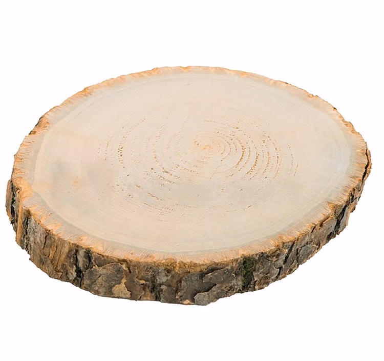Holzscheibe Baumscheiben-Set Deko Hochzeit 8 Stück 30 x 2 cm Tisch-Deko DIY Basteln Geburtstag Advent Jahreszeiten Ostern Holzscheibe Holzstamm Dekoration Holzscheibe Baumscheiben-Set Deko Hochzeit 8 Stück 30 x 2 cm Tisch-Deko DIY Basteln Geburtstag Advent Jahreszeiten Ostern Holzscheibe Holzstamm Dekoration